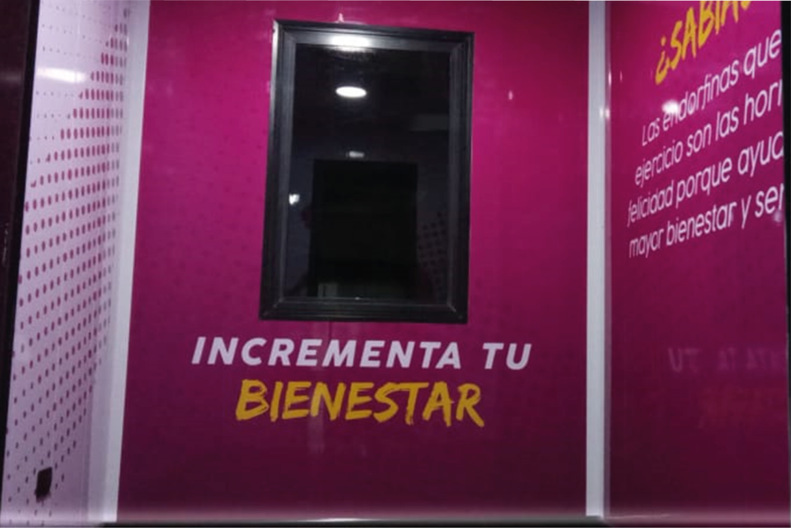 Proyectos Mineros